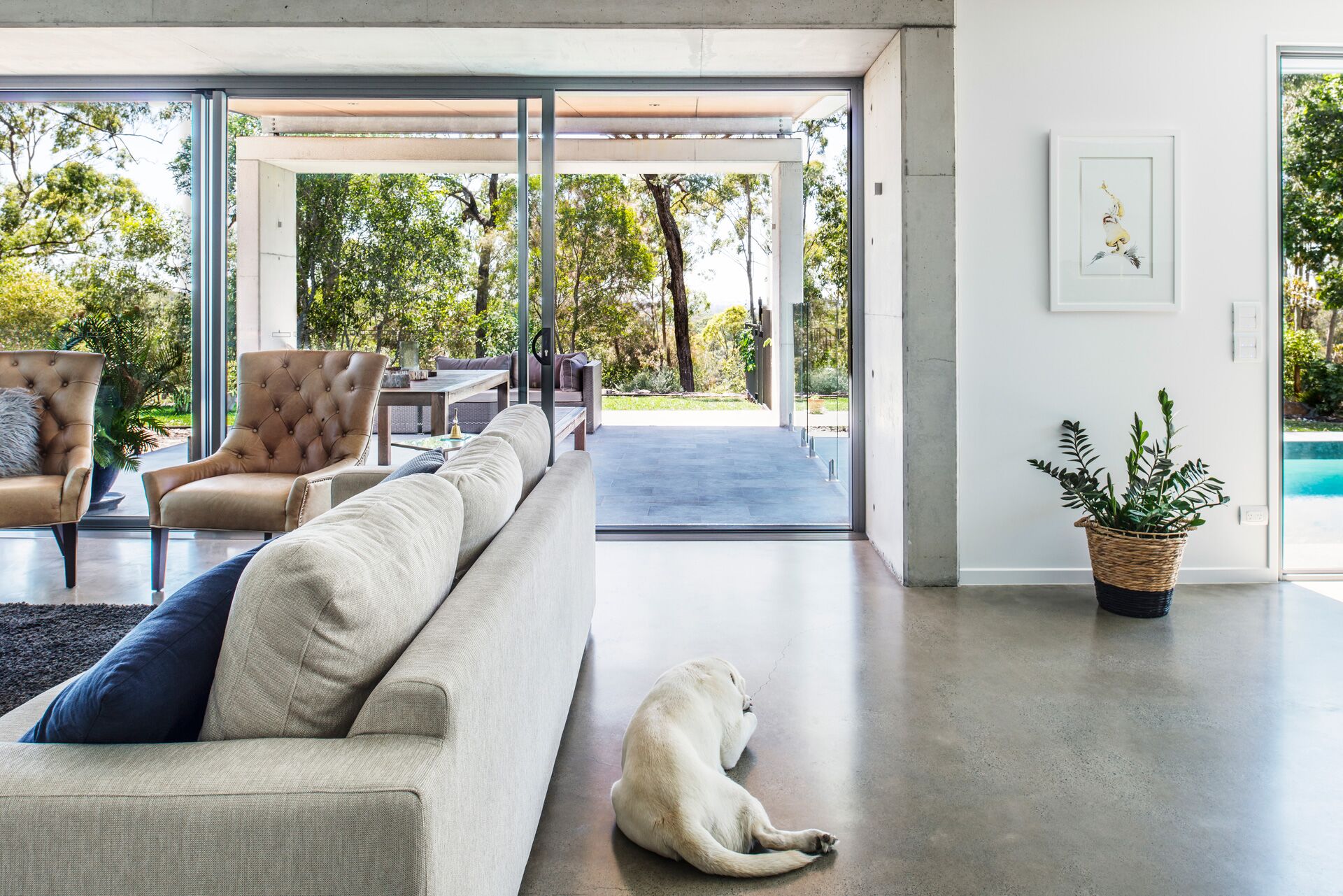 A dog looks out through a large door from inside the home