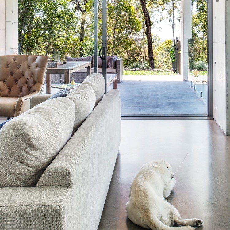 A dog looks out through a wide doorway from the inside of the home